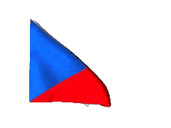 flag-chehii