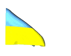 flag-chehii