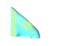 flag-chehii