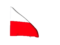 flag-chehii